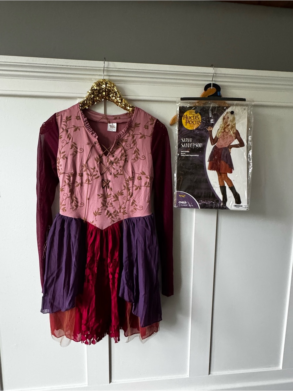 Spirit Halloween Sarah Sanderson Costume